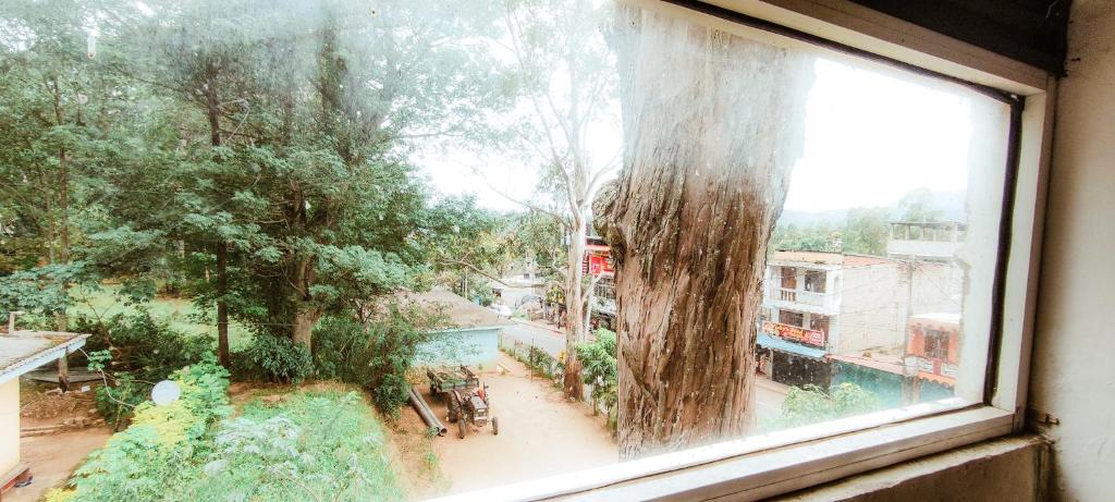The Pearl Homestay photo 2