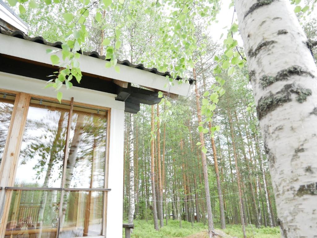 Mökki Aapola photo 4