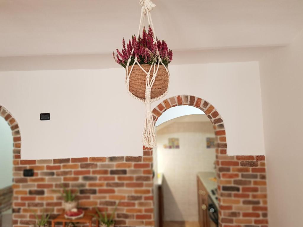 La Tana degli Orsetti photo 3