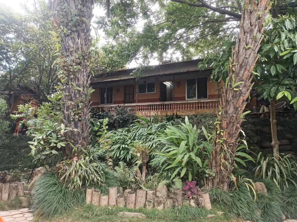 Banbatika cafe and Inn photo 1