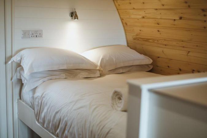 Carlton Manor Pods photo 2