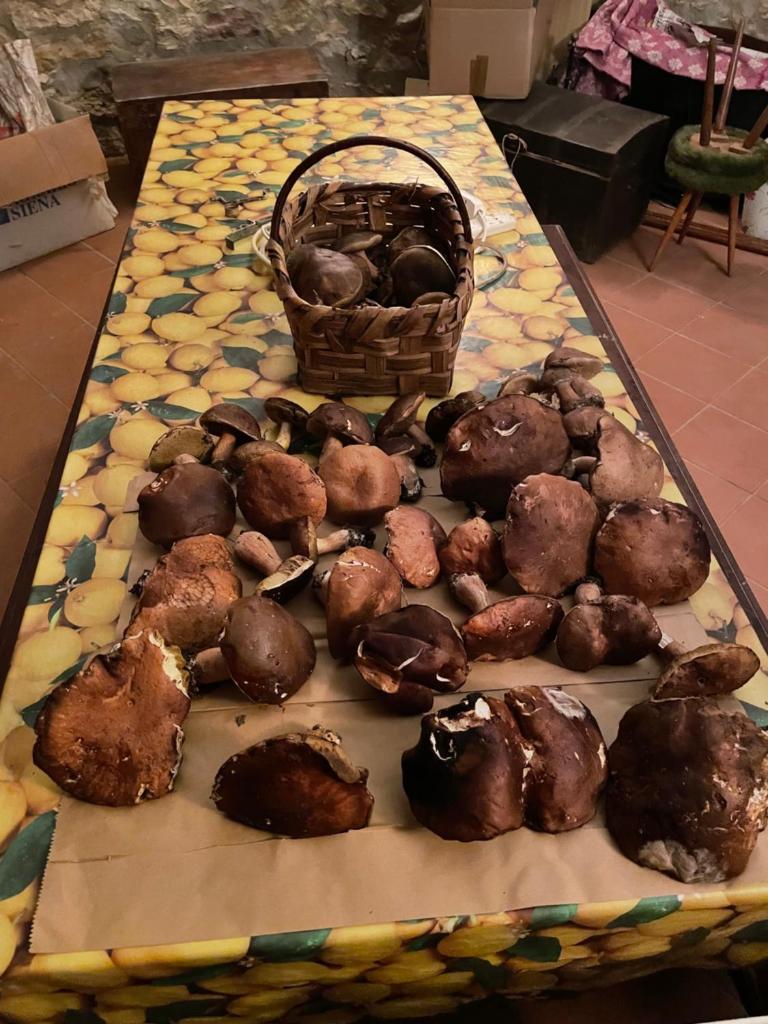 CasaMoira photo 3