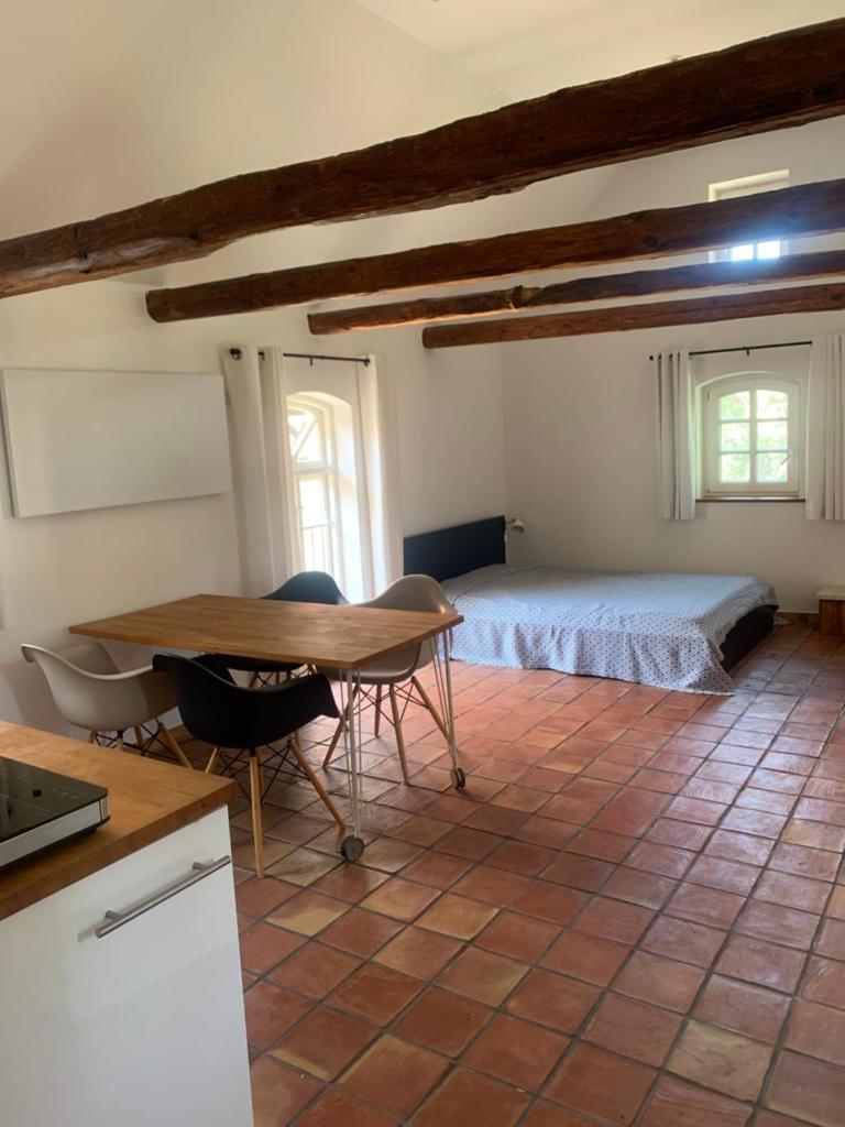 Studio auf denkmalgeschütztem Dreiseithof in Höfgen bei Grimma photo 2