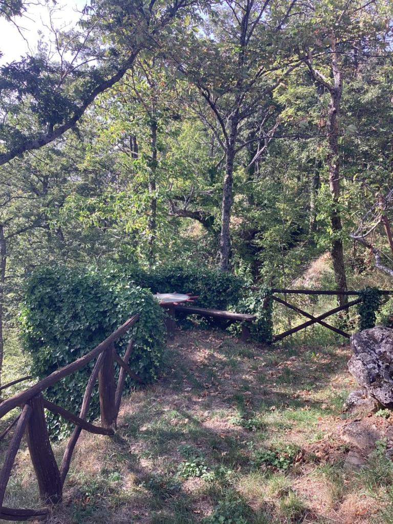 La cornacchiaia photo 3