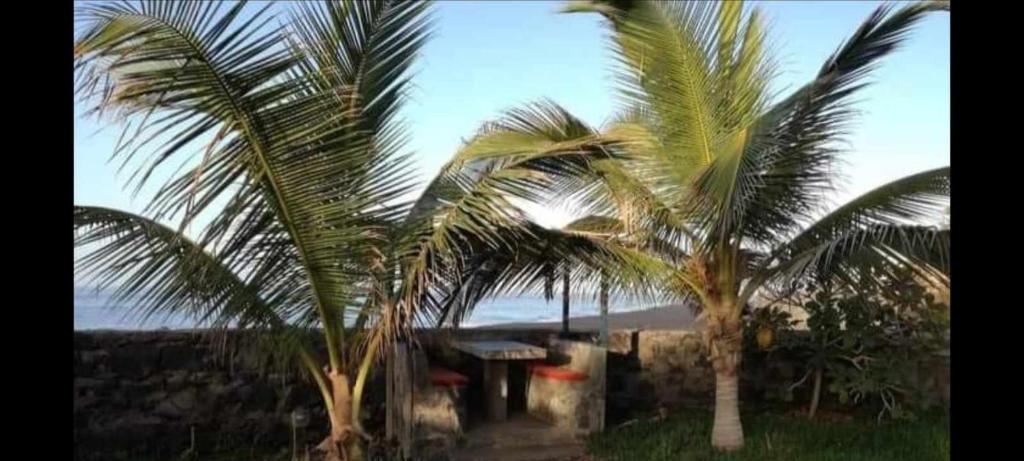 Tortuga B&B photo 1