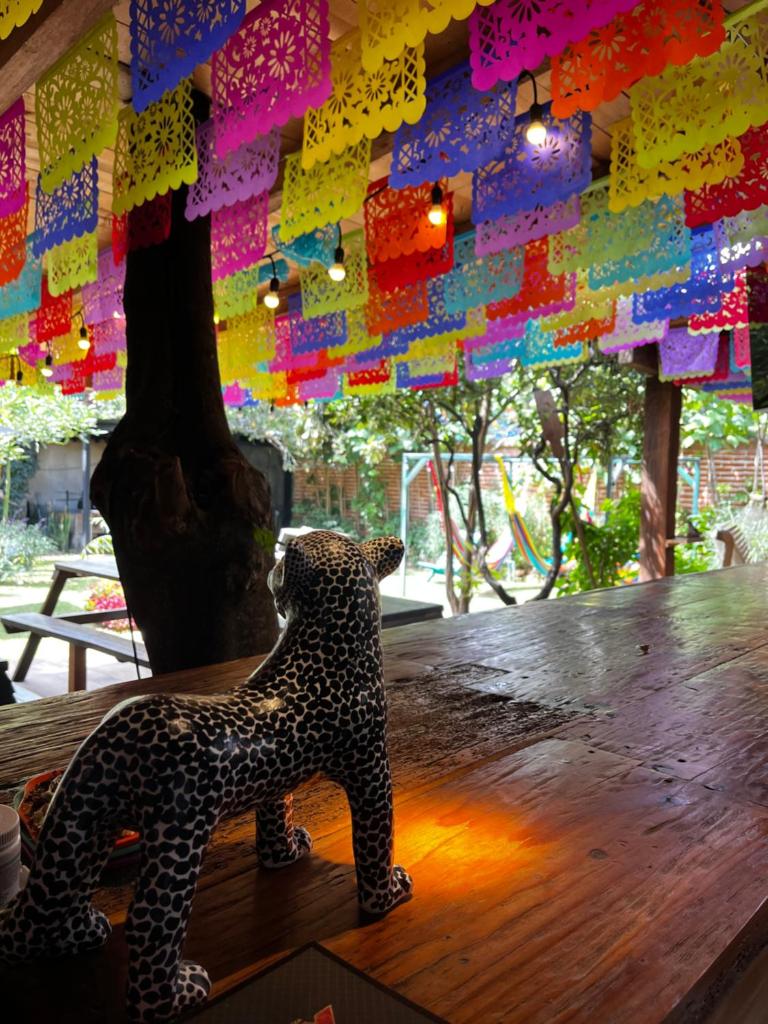 The Coffee Bean Hostel photo 2