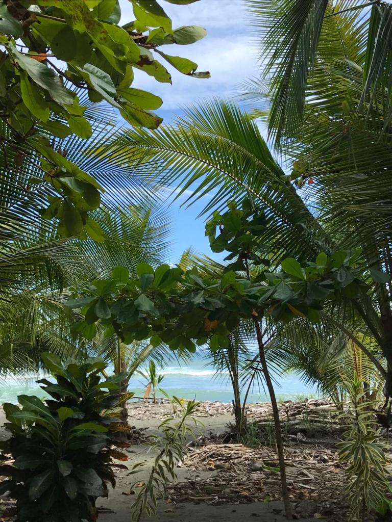 Casa Kumbaya Costa Rica photo 1