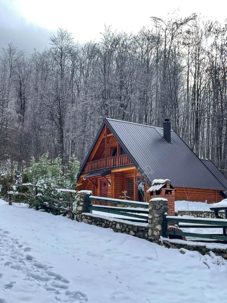 Cozy Cabin in the Woods photo 1