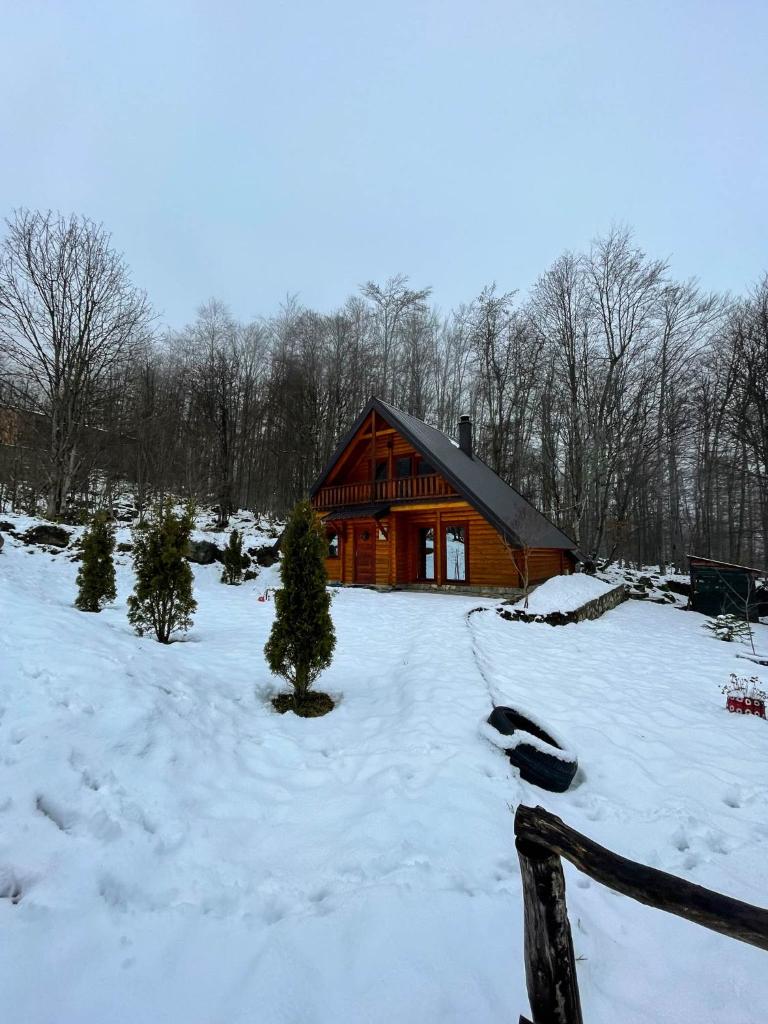 Cozy Cabin in the Woods photo 2