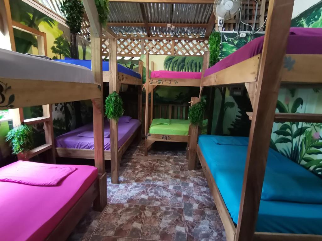 Oasis Beachfront Hostel photo 1