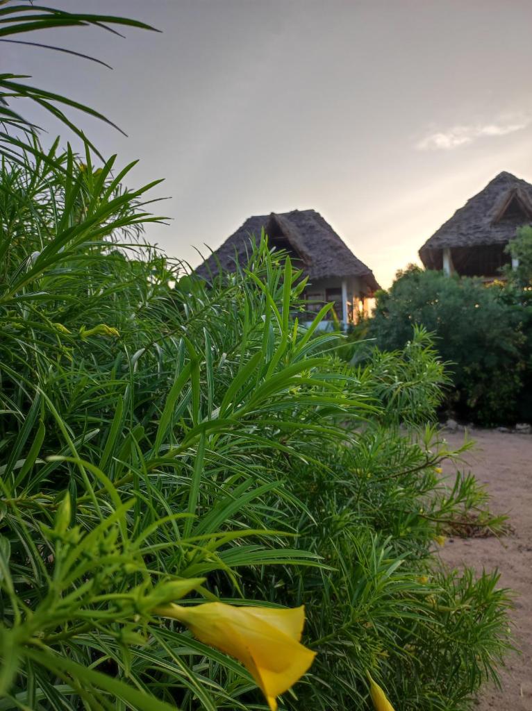SECRET PLACE HOTEL by HELLO TANZANIA TOURS& SAFARIS photo 1