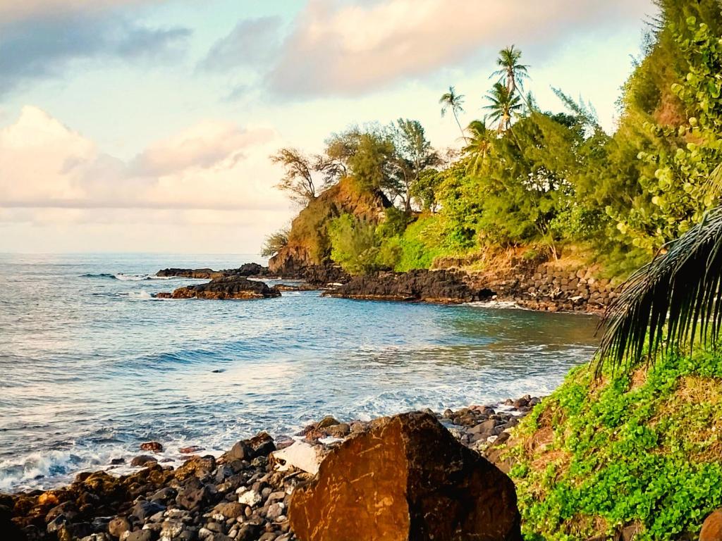 TAHITI - Haumaru Beach Fare photo 1