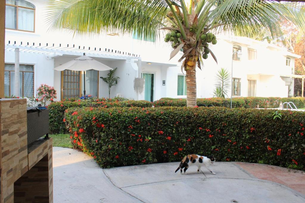 Casa con alberca en Club Santiago Manzanillo photo 2
