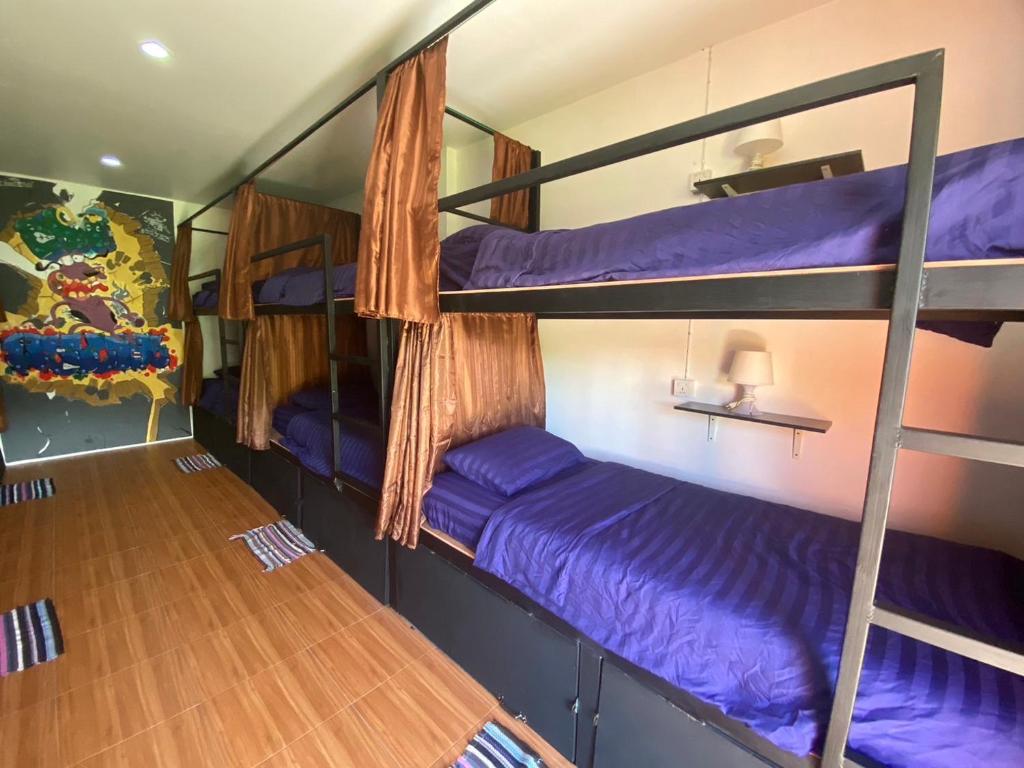 Pai circus hostel photo 3