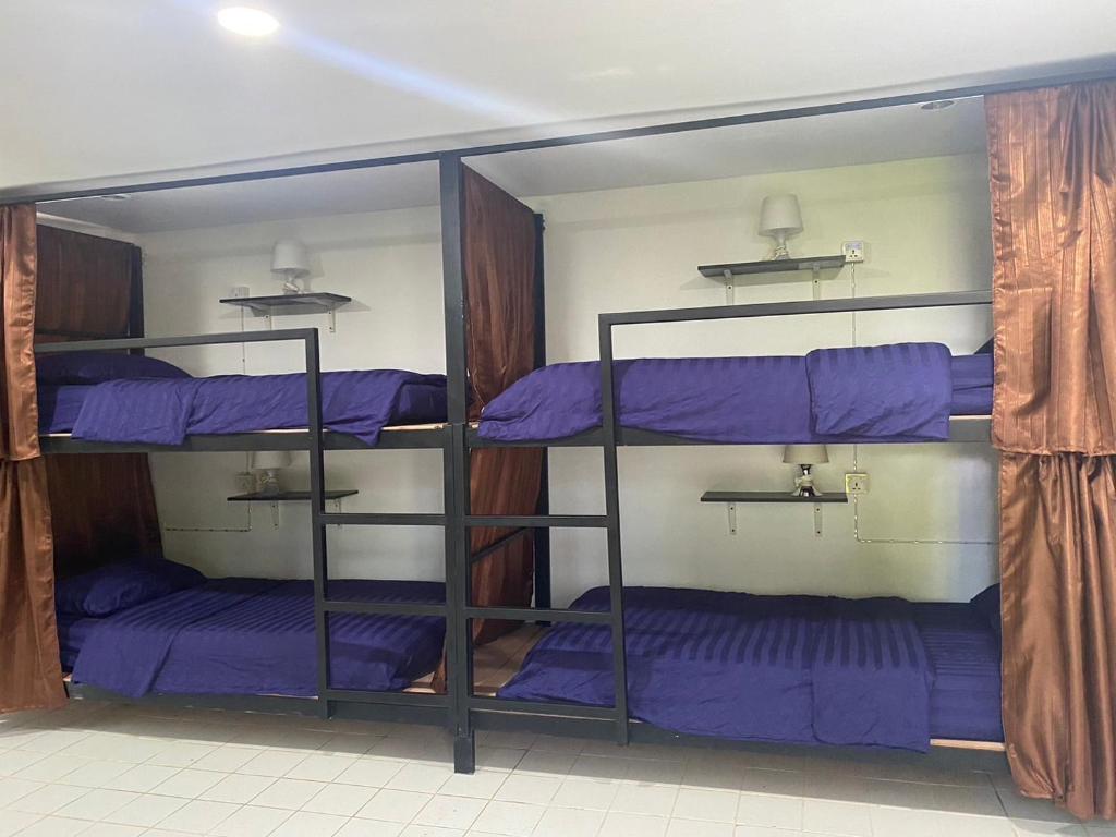 Pai circus hostel photo 1