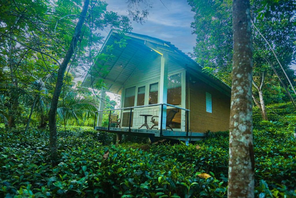 Ilukketiya Tea Chalets photo 3