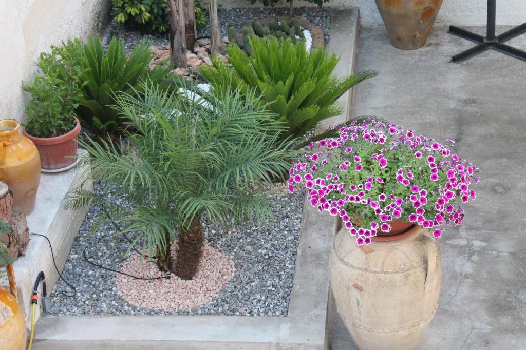 B&b Mari Lu'