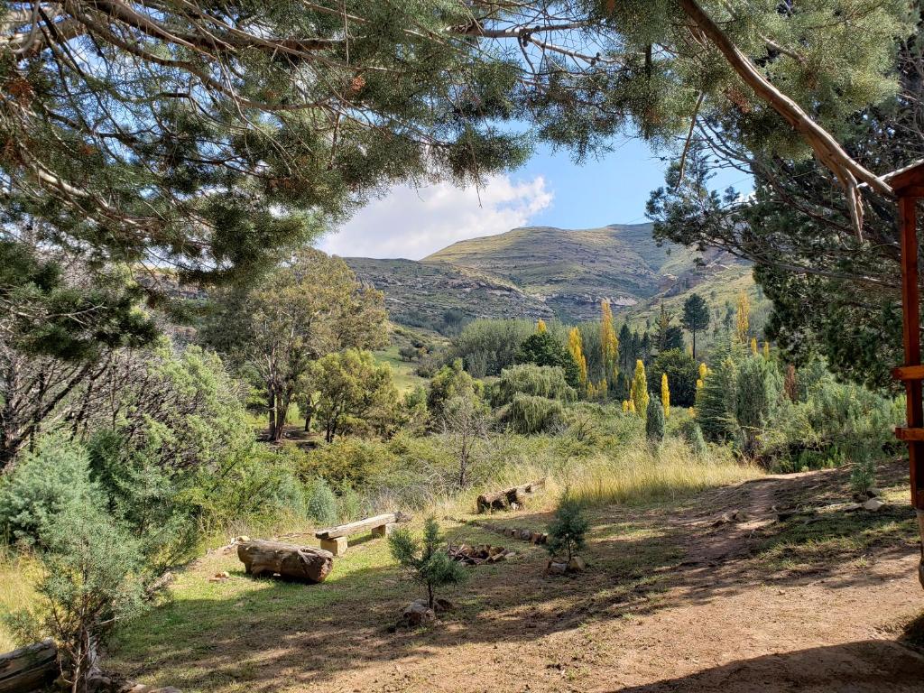 Old Mill Drift Guest Farm photo 2