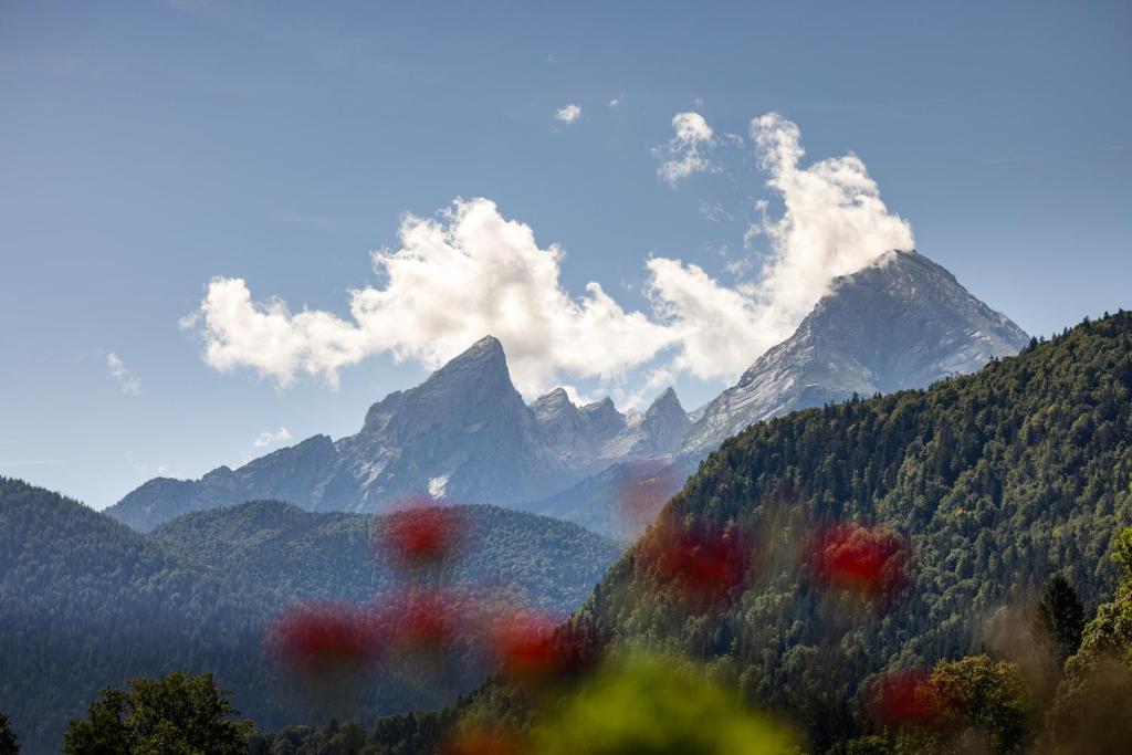 Wassererlehen photo 1