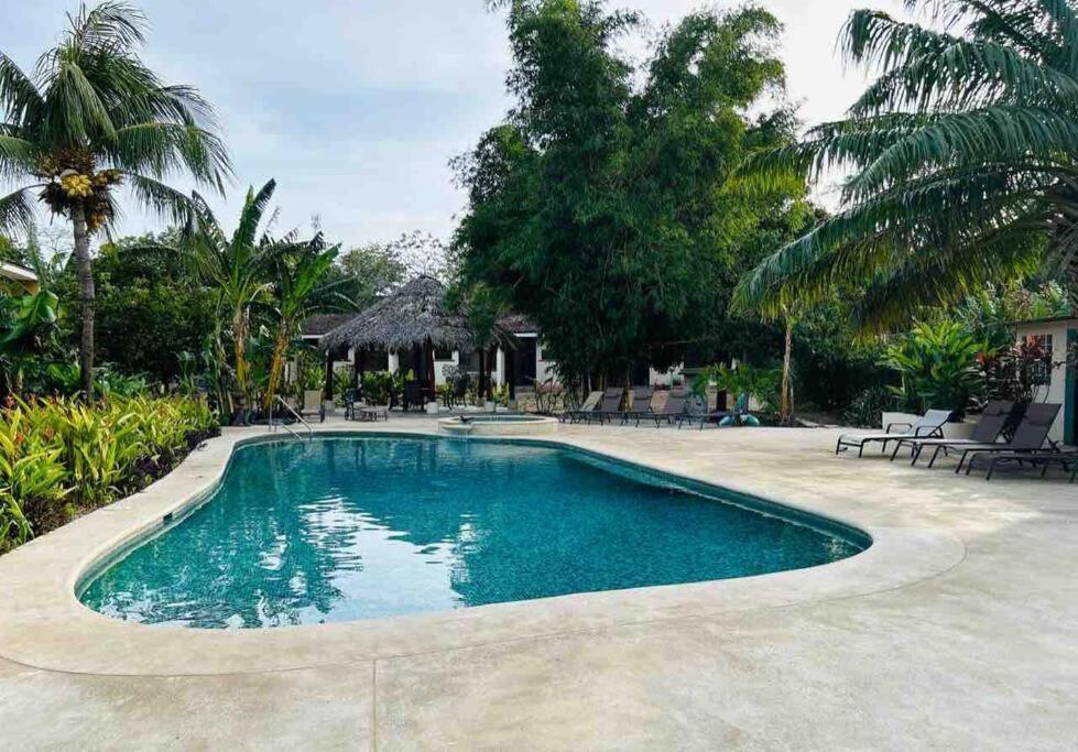 Cabo Velas 19 Jungle Paradise photo 4