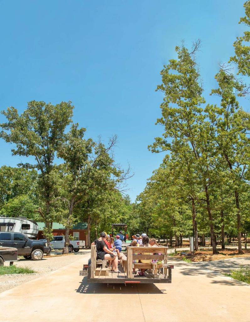 Jellystone Park Tyler photo 4