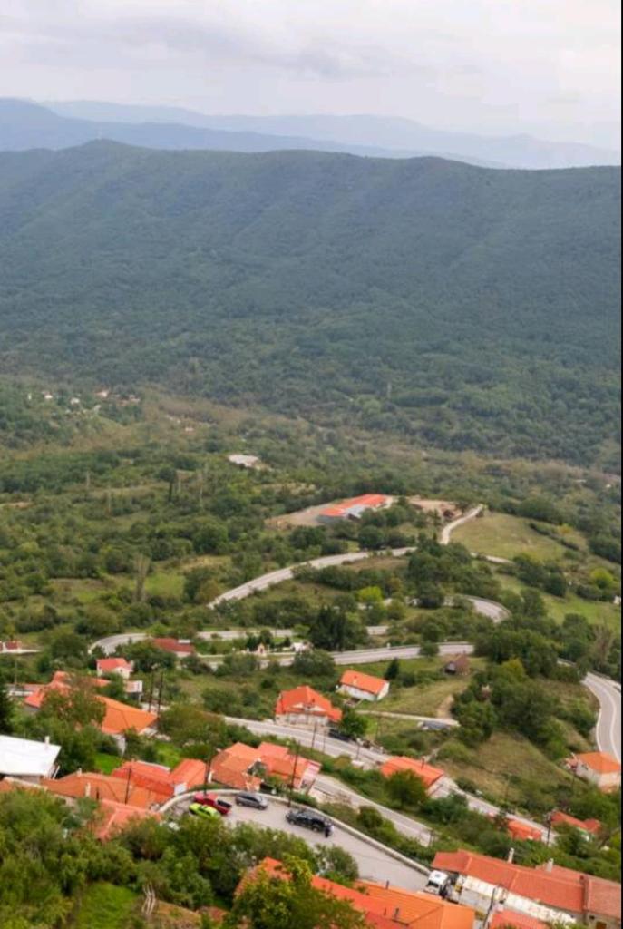 Άγρια Λούλουδα Κατοικία Ευτυχία photo 2