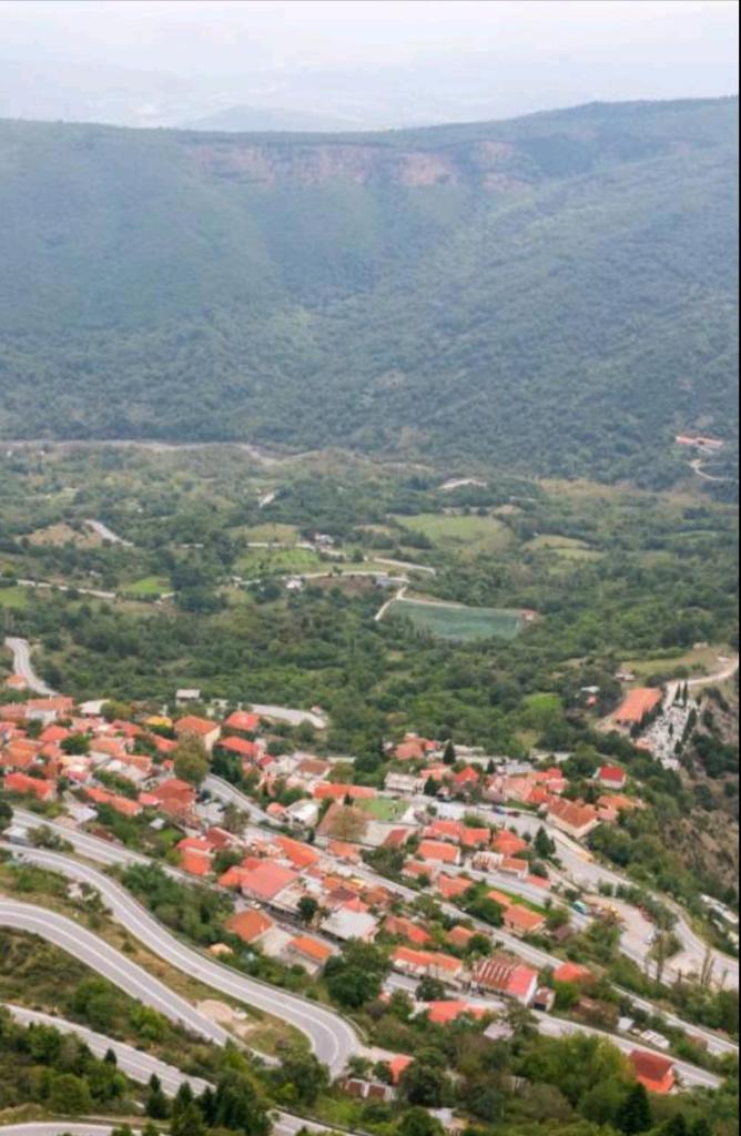 Άγρια Λούλουδα Κατοικία Αρμονία photo 3
