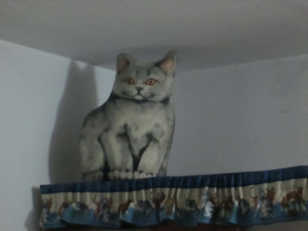 Cat's House photo 3