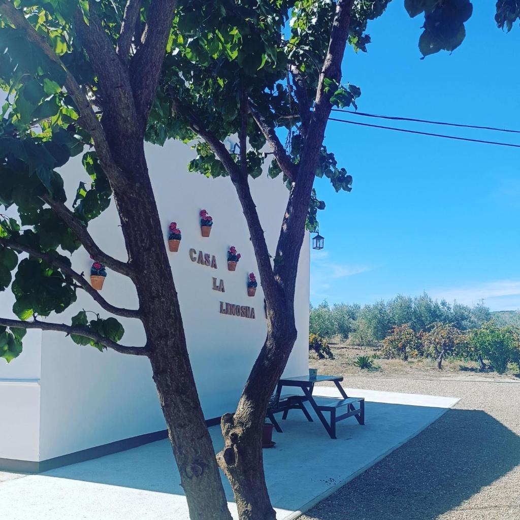 Casa la limosna photo 3