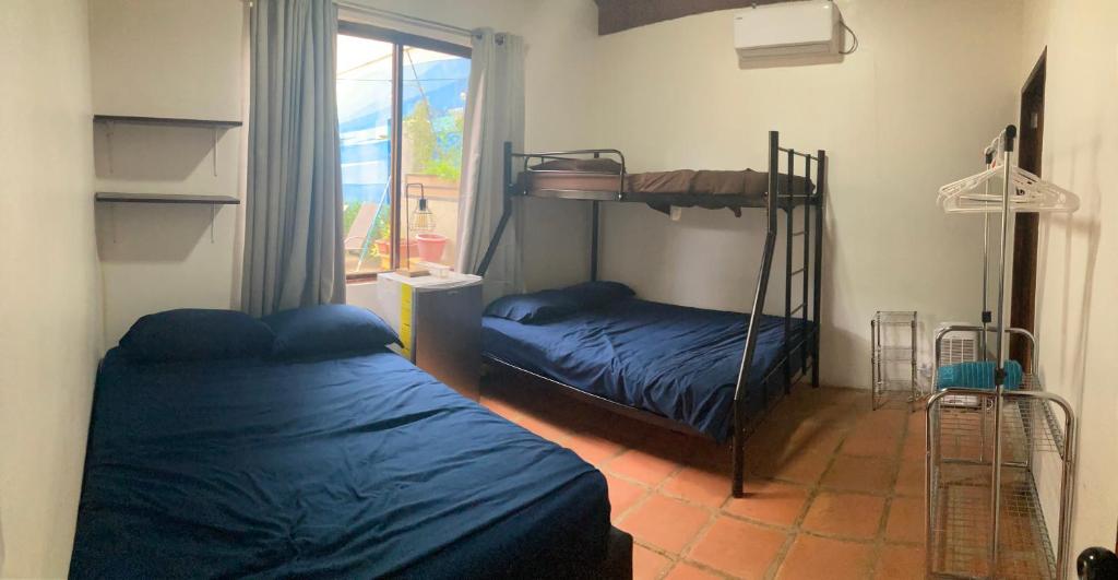 Tamarindo Backpackers photo 1