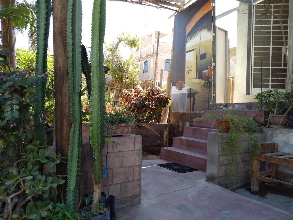 Habitación privada familiar con jardín para Srtas en Ica centro photo 2