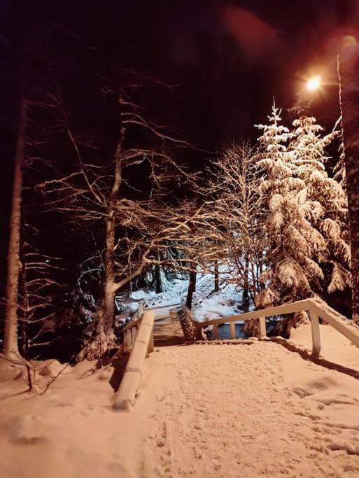 Paritalohuoneisto keskustassa photo 4