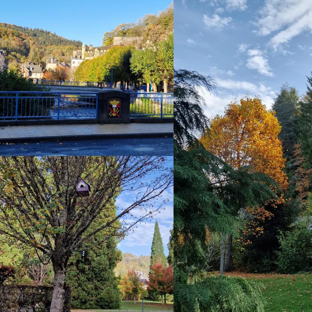 Hotel Chez Jeanne photo 4
