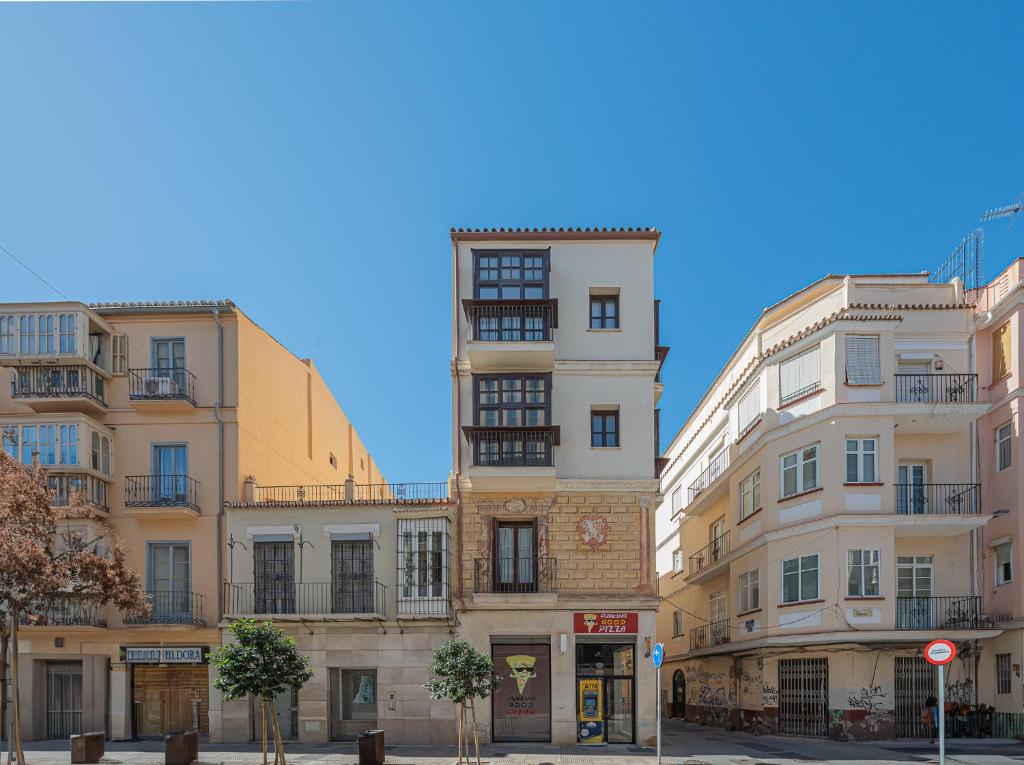 Doña Elvira Carreteria, Malaga