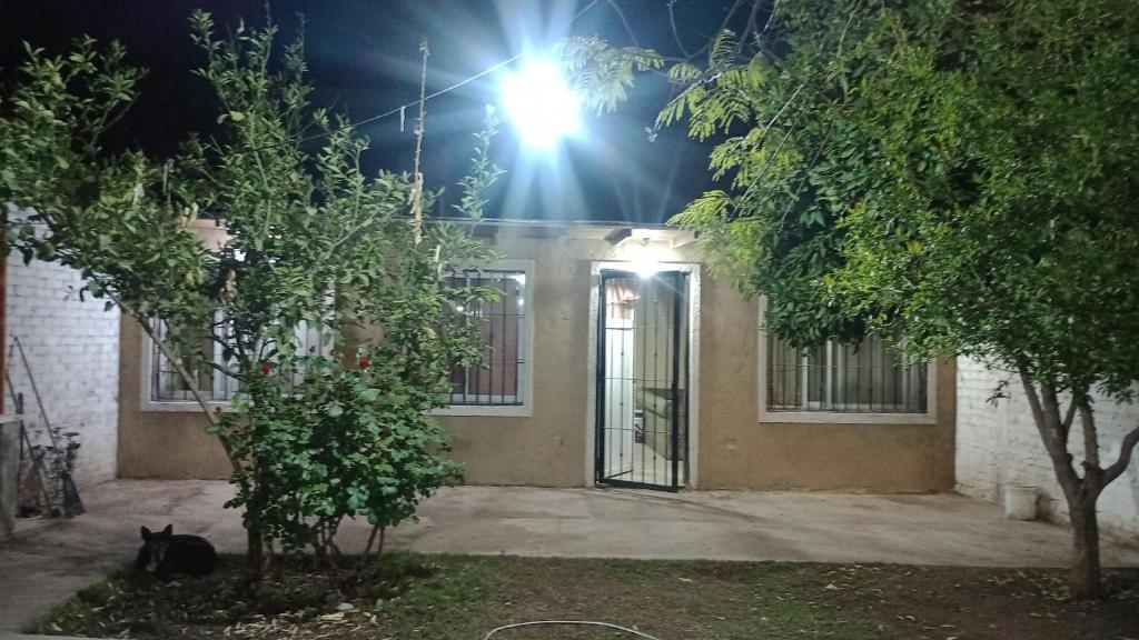 Casa llena de vida con hermosos árboles frutales