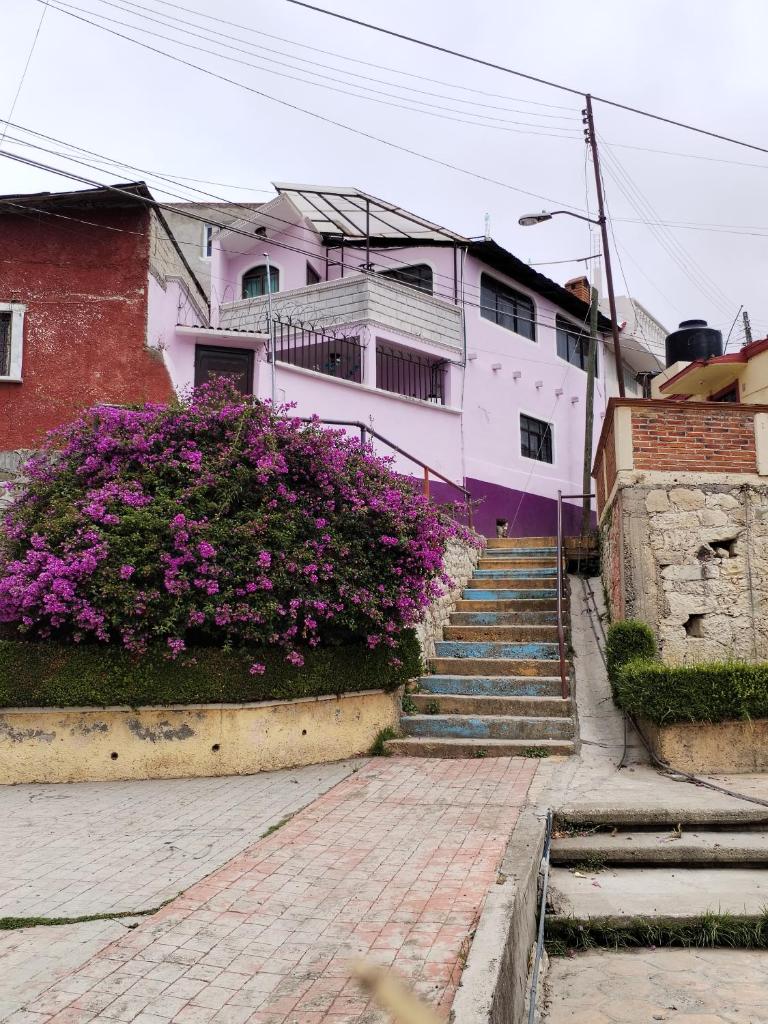 Casa Lila photo 1
