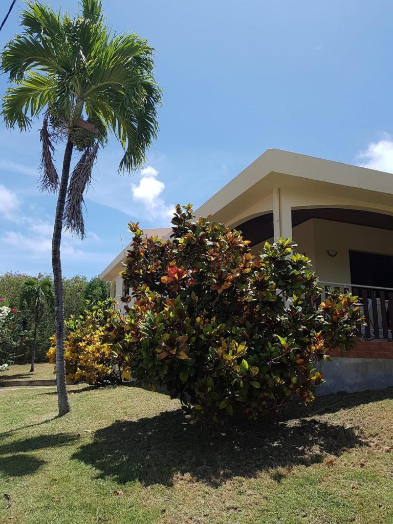 Villa Macabou Bien-Etre OFFRE SPECIALE PONT DE MAI 1 NUIT OFFERTE photo 4