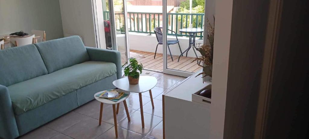 Appartement T2 proche lac photo 2