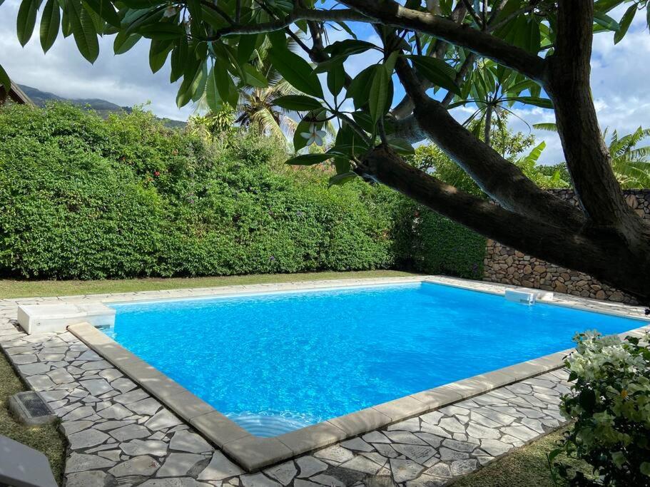 Relax in apt close to ocean & museum photo 4