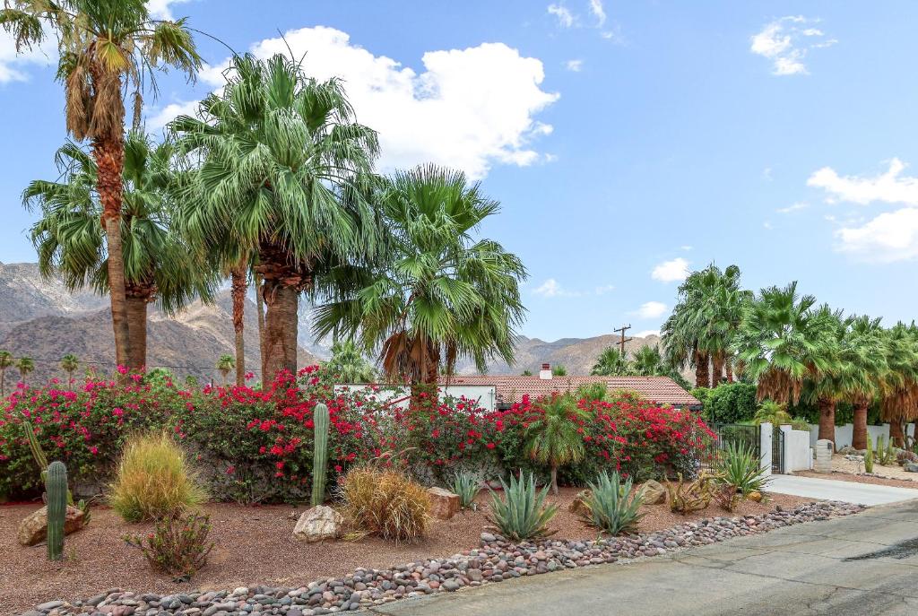 Casa Coyote - A Ryson Property photo 4