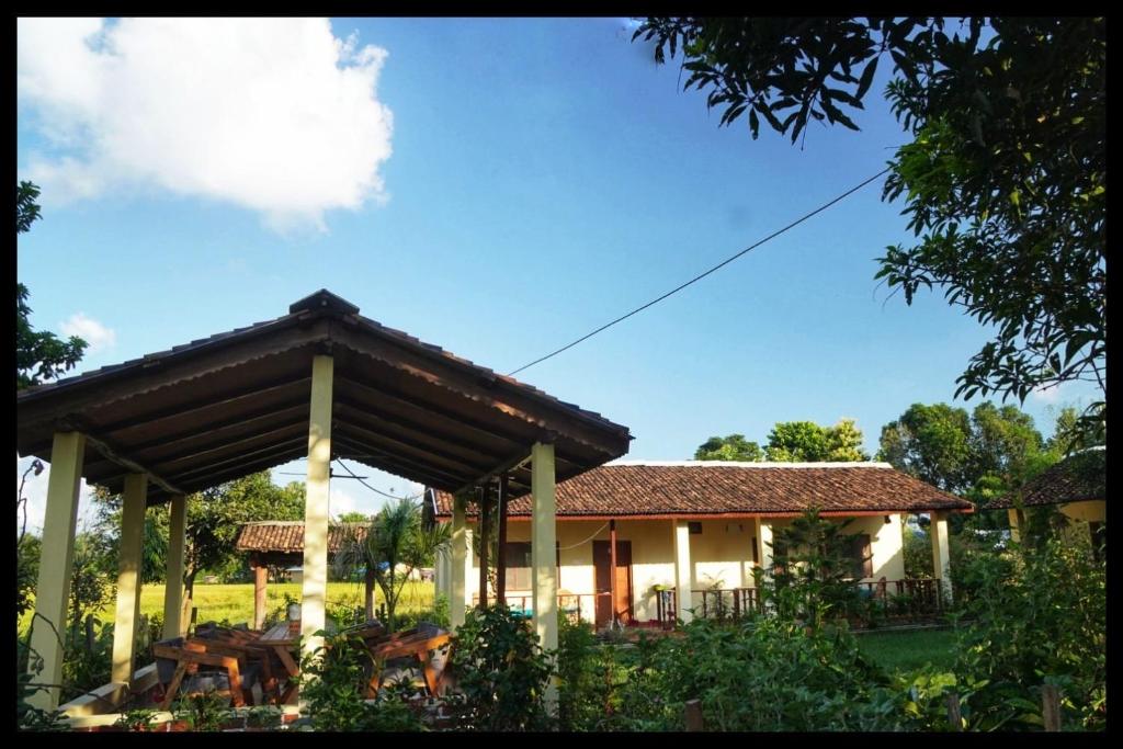 Bardia Eco Friendly Homestay photo 2