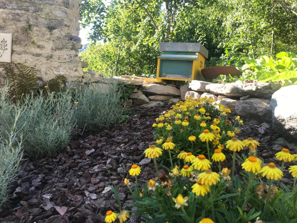 Casa 1000fiori photo 2
