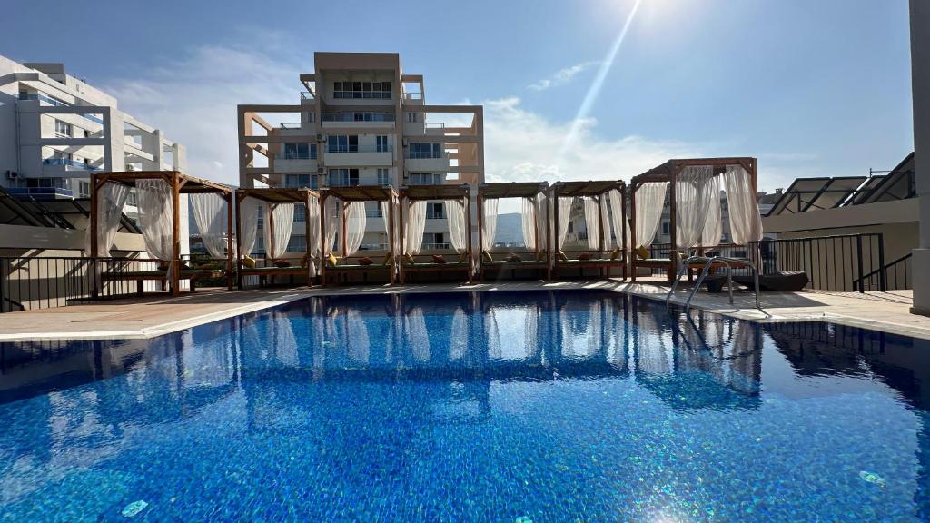 Olivia Palm Hotel photo 4