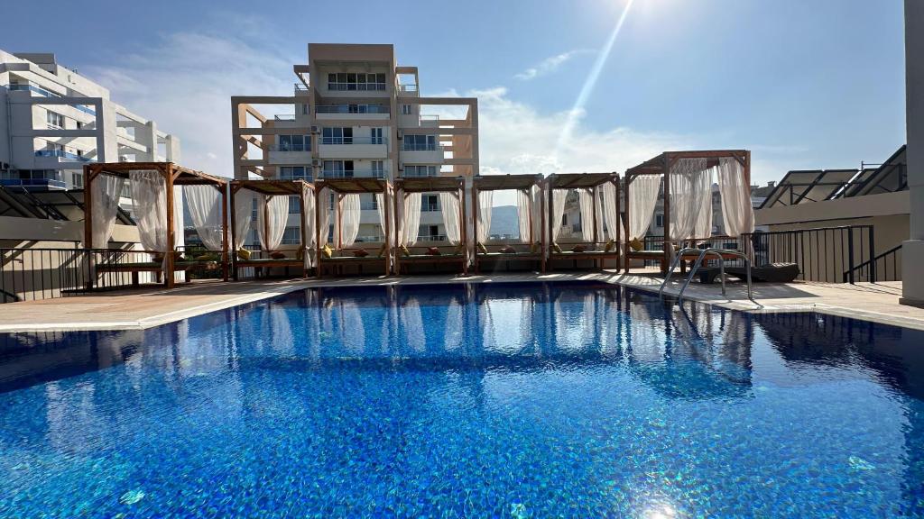 Olivia Palm Hotel photo 3
