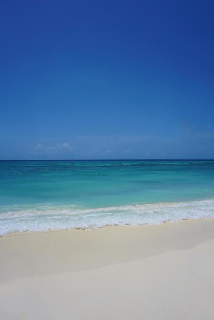 One The Island photo 1