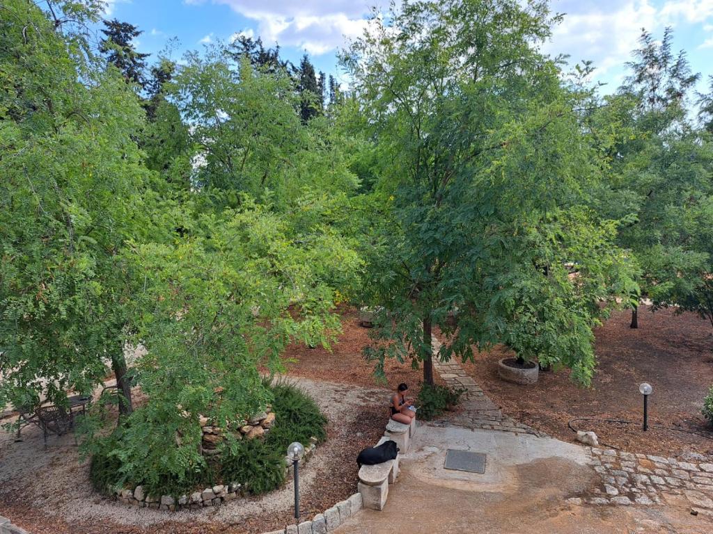 Villa Melina lafattoriasecondonoi photo 1