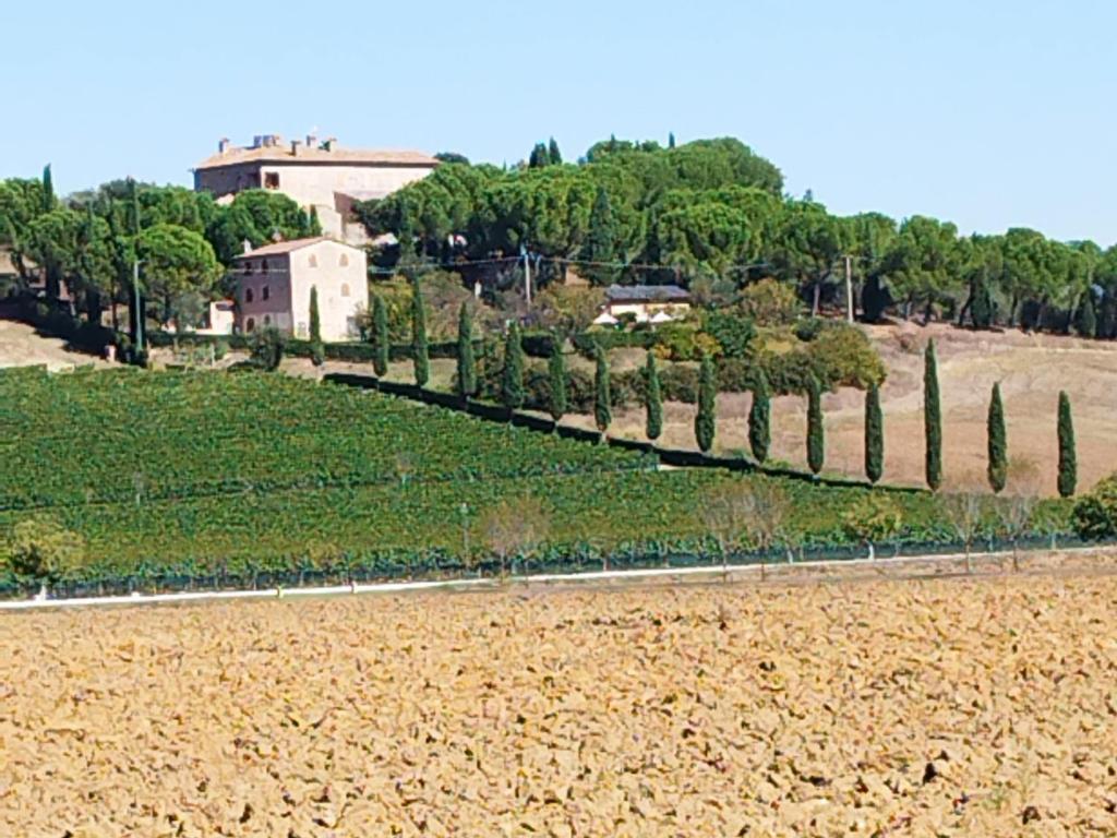 Il vecchio seccatoio photo 2