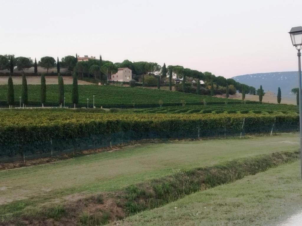 Il vecchio seccatoio photo 1