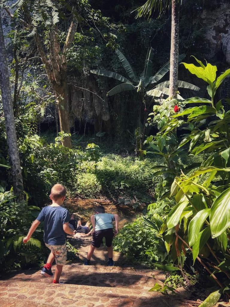 Khao Sok Silver Cliff Resort photo 2