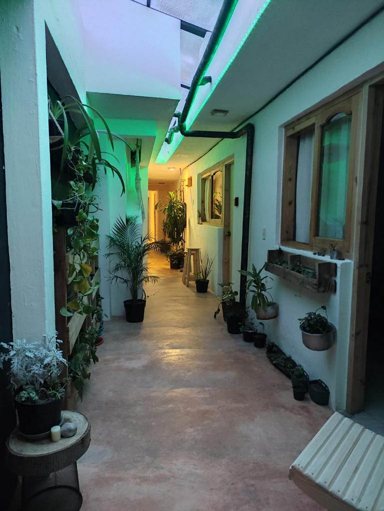 Hostel Boutique 55 photo 3